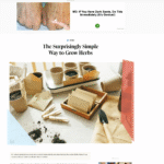 A screen shot of Rachel Cavanaugh's article in Better Report titled "The Surprisingly Simple Way to Grow Herbs"